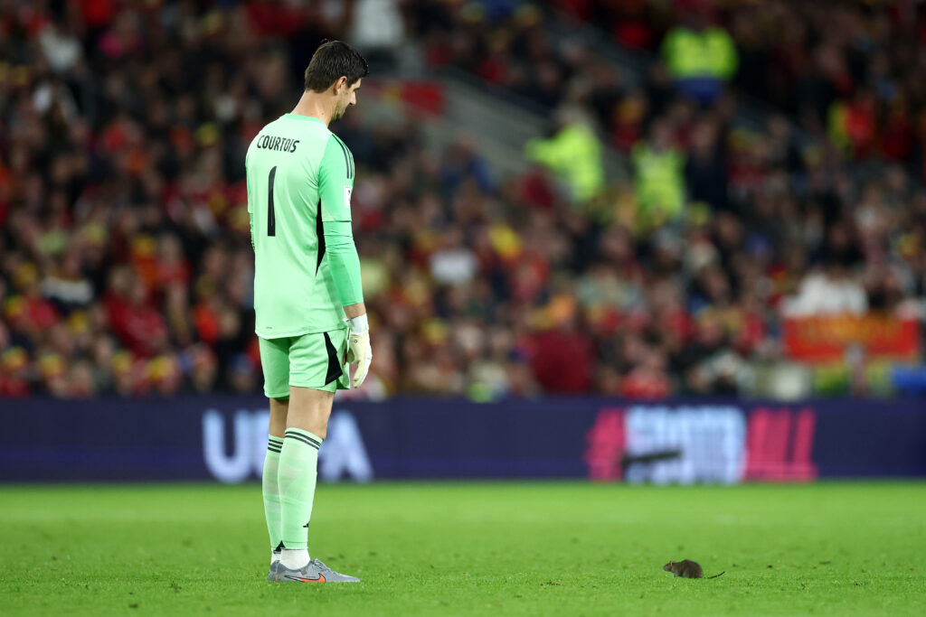 Wales v Belgium - Group J FIFA World Cup 2026 Qualifier