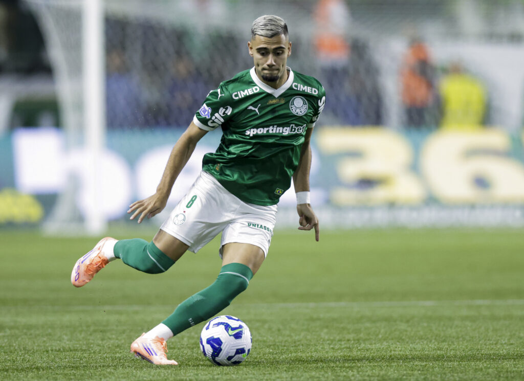Palmeiras v Santos - Brasileirao 2025