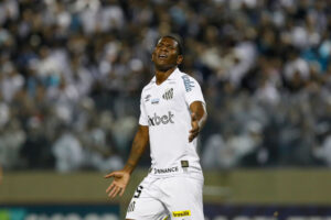 Santos v Ceara - Brasileirao 2022