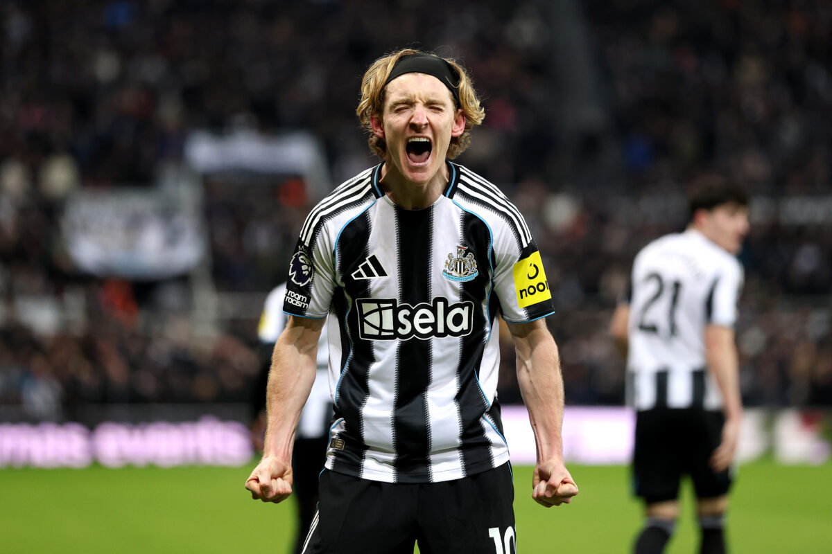Newcastle United v Tottenham Hotspur - Premier League