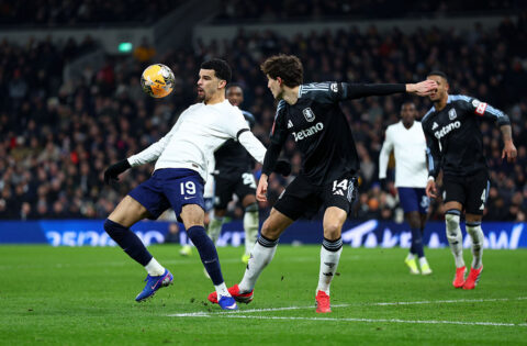 Tottenham Hotspur v Aston Villa - Emirates FA Cup Third Round