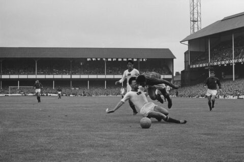 Eusebio Felled Eusebio Felled