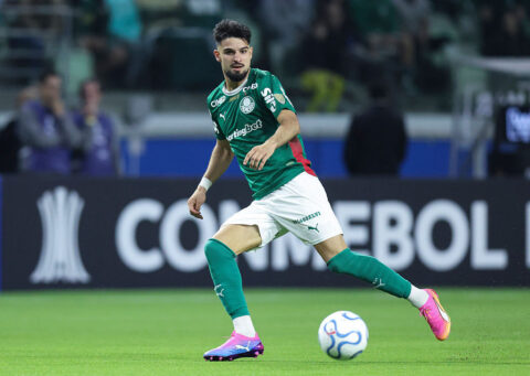 Palmeiras v Junior - Copa CONMEBOL Libertadores