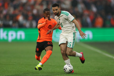 Netherlands v Algeria - International Friendly Netherlands v Algeria - International Friendly