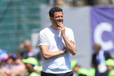 Fabio Grosso, Fiorentina