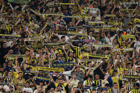 Fenerbahçe Leão Demirovic