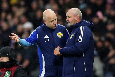 Steven Naismith, Scozia