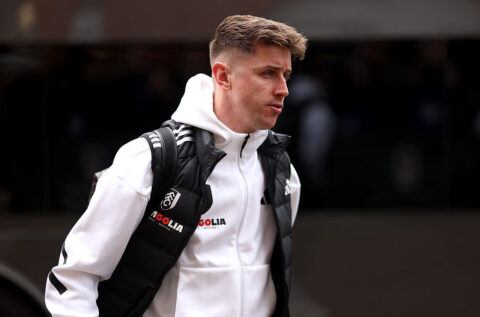 Fulham v Tottenham Hotspur - Premier League