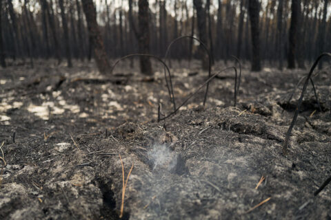 Firefighters West Of Bordeaux Continue to Battle Flare-Ups After Week Of Historic Wildfires