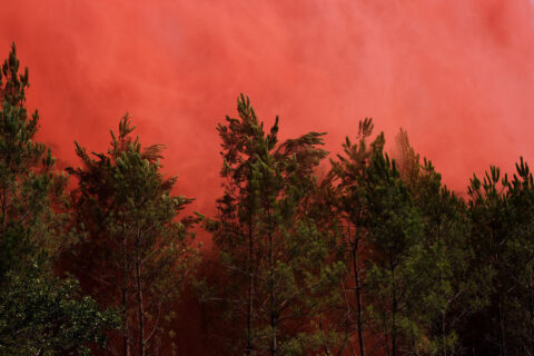 Firefighters West Of Bordeaux Continue to Battle Flare-Ups After Week Of Historic Wildfires
