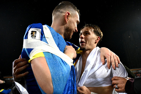 Edin Dzeko, Bosnia