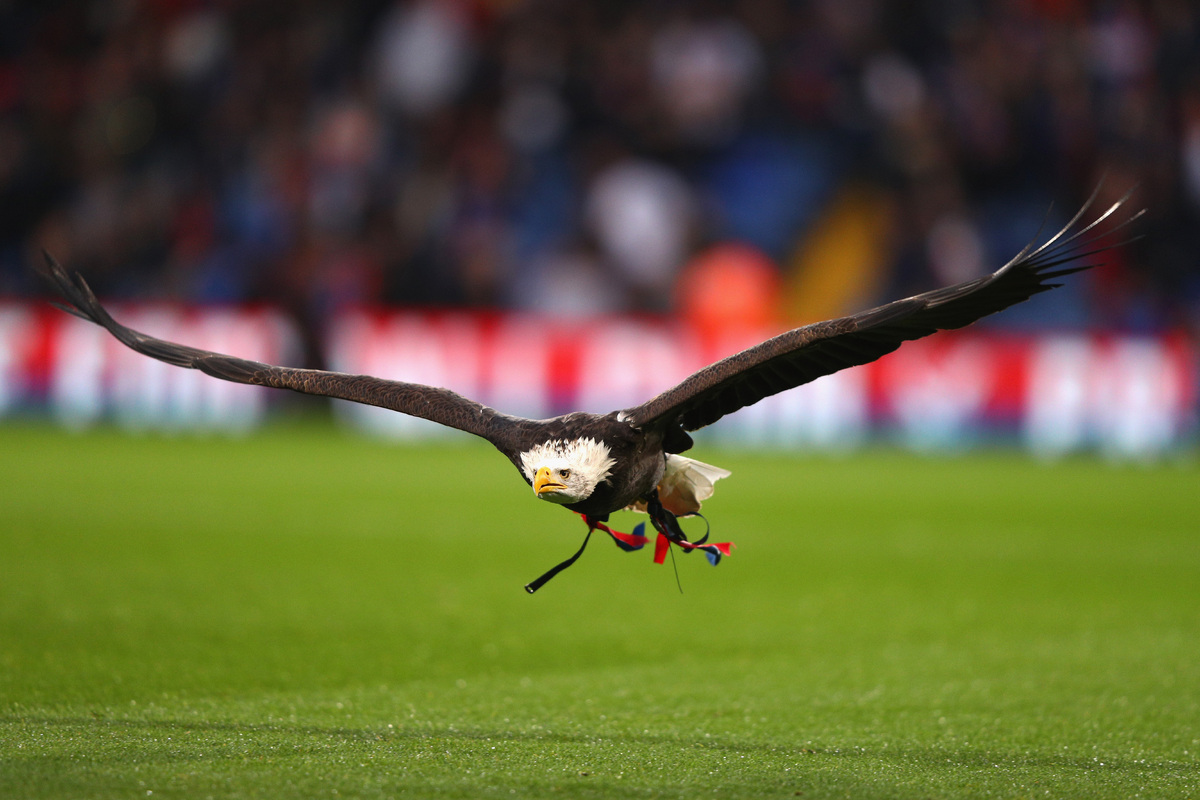 Crystal Palace v Liverpool - Premier League