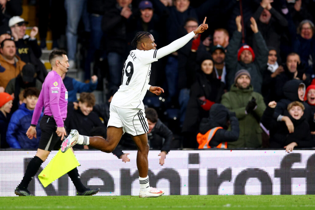 Fulham v Brighton &amp; Hove Albion - Premier League