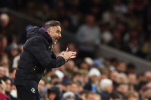 Fulham v Wolverhampton Wanderers - Premier League